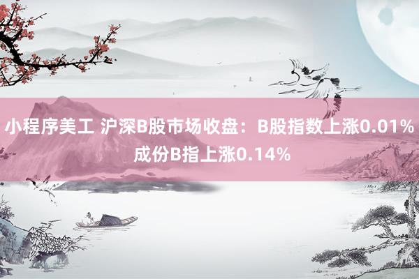 小程序美工 沪深B股市场收盘：B股指数上涨0.01% 成份B指上涨0.14%