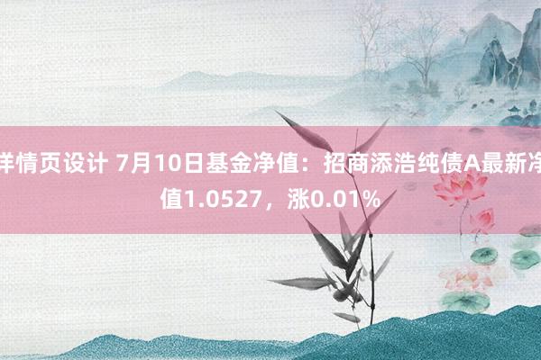 详情页设计 7月10日基金净值：招商添浩纯债A最新净值1.0527，涨0.01%