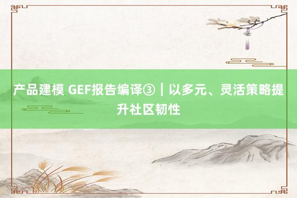 产品建模 GEF报告编译③︱以多元、灵活策略提升社区韧性